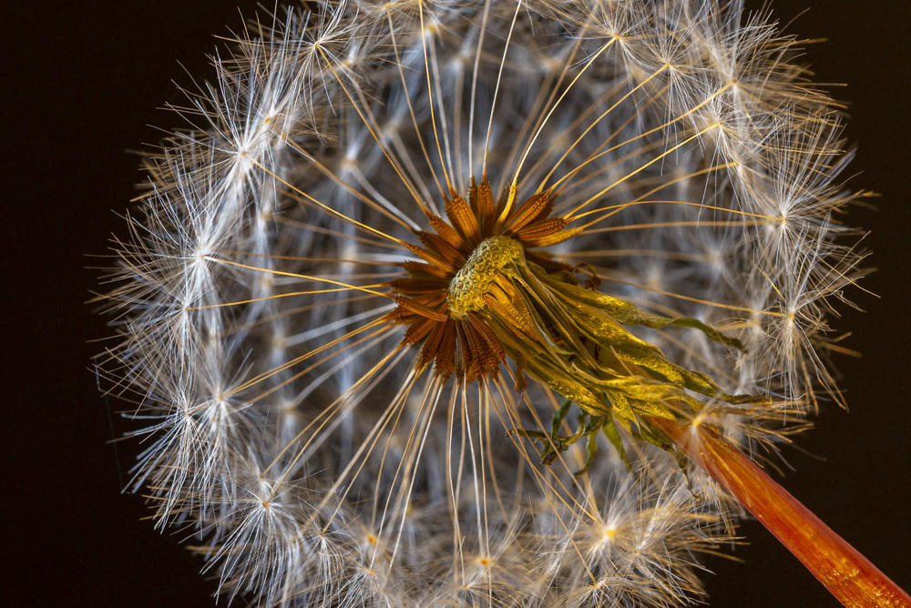 Platz 4 Michael Mayer